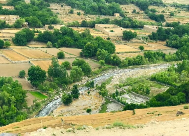 ننګرهار؛د نامشروع اړیکو په تور یوه ښځه او یو سړی په عام محضر کې په دُرو وهل شوي