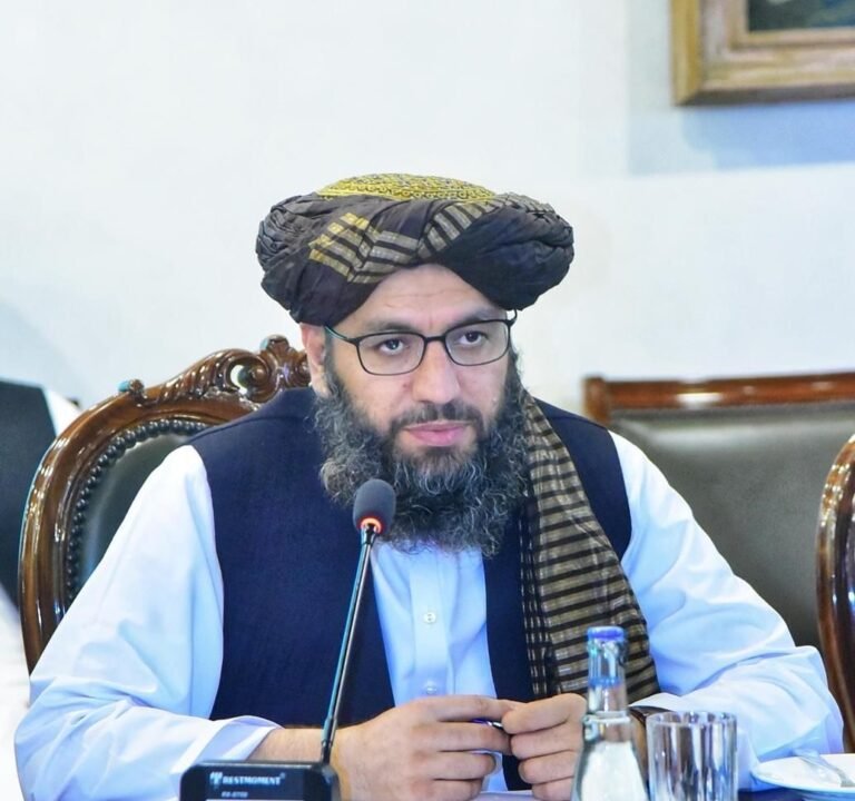 هندي رسنۍ:د طالبانو حکومت نور احمد نور په نوي ډهلي کې د سفارت سرپرست وټاکه