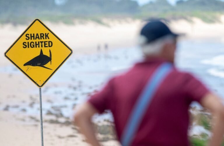 استرالیا؛د شارک تر پرله‌پسې بریدونو وروسته لسګونه ساحلونه وتړل