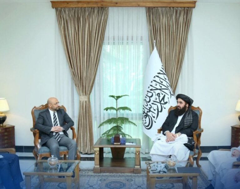 امیرخان متقي؛د ترکيې د نوي ديپلوماتيک ماموريت له مشر سره کتلي