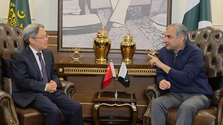 محسن نقوي؛اسلام آباد کې د چین سفیر ته د بلوچستان په وسله والو بریدونو کې د چینایي اتباعو د ساتنې ډاډ ورکړی