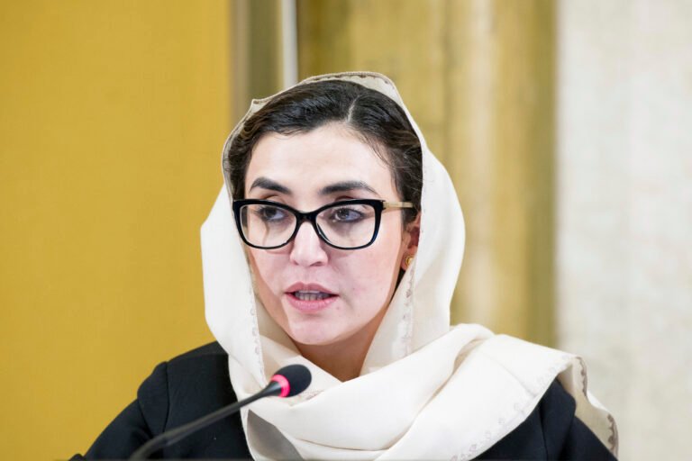 عادله راز؛د ملګرو ملتونو په مشورتي پلاوي کې ټاکل شوې