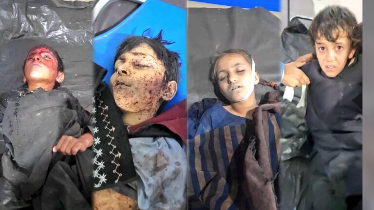 د بشري حقونو نړیوال بنسټ:ډنډ پټان کې پاکستاني لوري نن ماښام د ۲ ماشومانو په ګډون ۴ ملکي وګړي وژلي