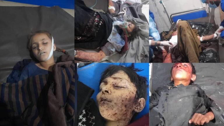 حمدالله فطرت:په خوست او پکتیکا کې د پاکستاني بریدونو له امله ۱۹ ملکي وګړي وژل شوي