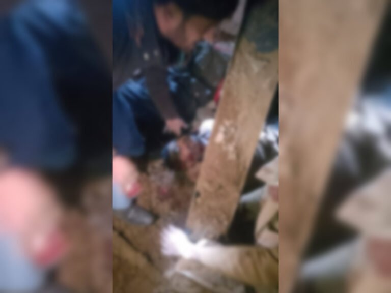 تازه خبرد باجوړ په یوه دیني مدرسه کې د ځانمرګي برید له امله تر دې دمه د ۷ پولیسو جسدونه راویستل شوي