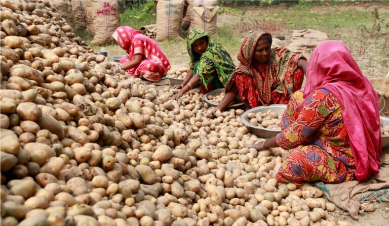 ډان ورځپاڼه:د پاکستان د الوګانو صادرات د ډيورنډ کرښې د تړلو له امله درېدلي