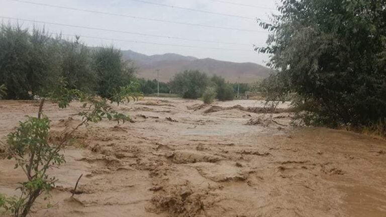 د پېښو پر وړاندې د مبارزې اداره:وروستیو بارانونو او سېلابونو ۱۴ کسان وژلي