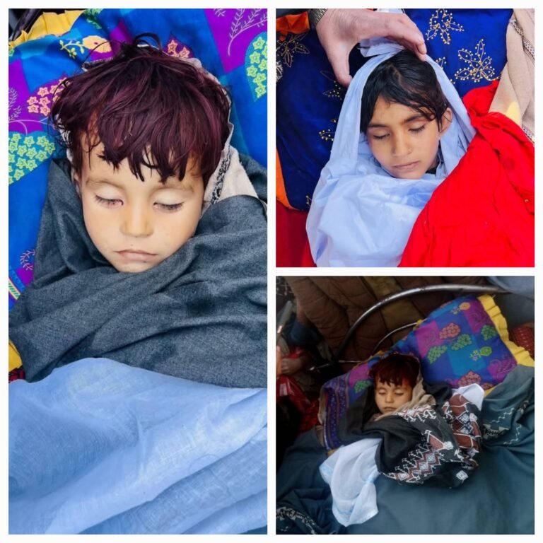 حمدالله فطرت:پر سرحدي سیمو د پاکستان د هاوان بریدونو له امله ۱۳ ملکي وګړو ته مرګ ژوبله اوښتې