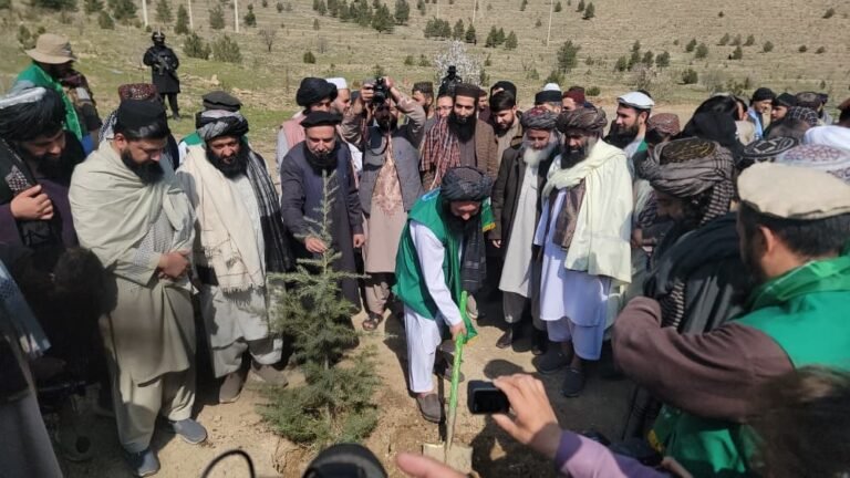 د طالبانو حکومت د چاپیریال ساتنې اداره:سږ کال به په ټول هېواد کې ۱۰ مېلیونه نیالګي وکرل شي