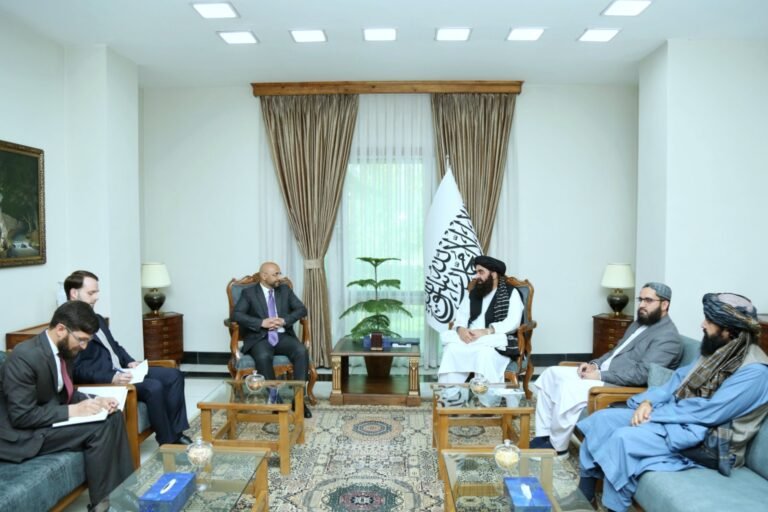 امیرخان متقي؛د ترکیې له استازي سره د افغانستان او پاکستان پر اړیکو او وروستیو مذاکراتو خبرې کړې