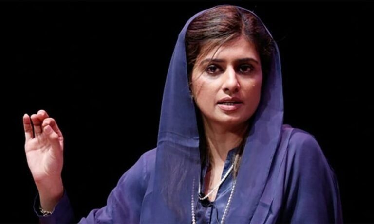 حنا رباني کهر:د متحده عربي امارات او پاکستان اړیکې پیاوړې دي، د پور بحثونه «احساساتي» دي