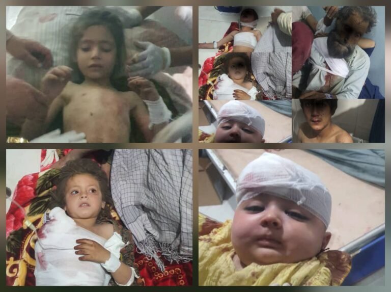 پاکستان:افغانستان کې مو تېره شپه هوايي بريدونو کې د جماعت‌الاحرار ۲۹ وسله وال وژلي