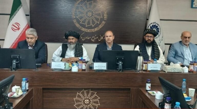 اشتراک جنرال قونسل حکومت طالبان در نشست فعالان اقتصادی خراسان جنوبی در مشهد