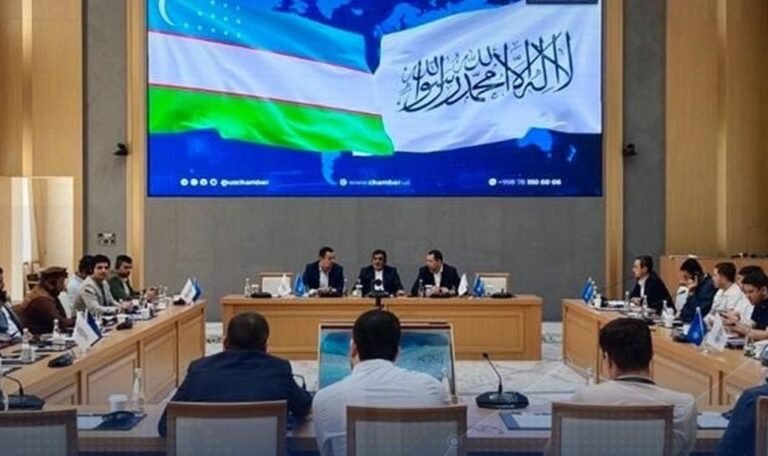 تأکید افغانستان و اوزبیکستان بر گسترش سرمایه‌گذاری‌های مشترک و همکاری‌های تجاری
