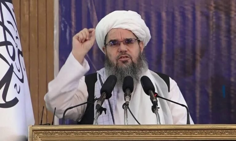 شهاب‌الدین دلاور:د «اسلامي امارت» لپاره بدیل نه شته