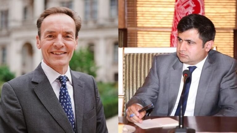 ډاکتر فضل محمود فضلي:د بریتانیا د استازي څرګندونې غیرمسئولانه او د افغانستان حاکمیت ته زیان رسوي