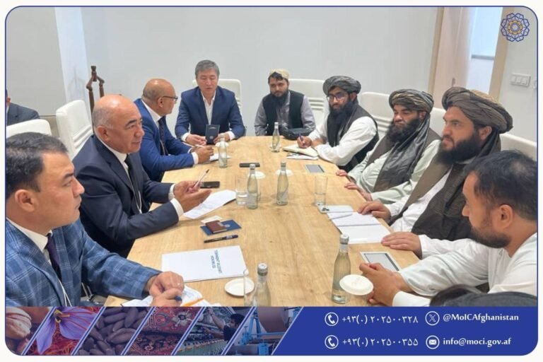 سفر ۱۰۰ سرمایه‌گذار ازبیکستانی به افغانستان در ماه جولای