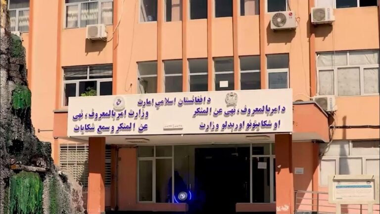 د طالبانو حکومت د امریالمعروف وزارت:هرات کې د ښځو د نېولو راپورونه پروپاګند او د دښمن کاذب تبلیغات دي