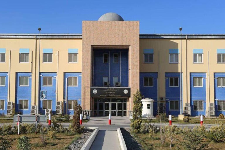 وزارت داخله حکومت طالبان از بازداشت ۱۹ تن در پیوند به قضایای سرقت در ولایات مختلف خبرداده است