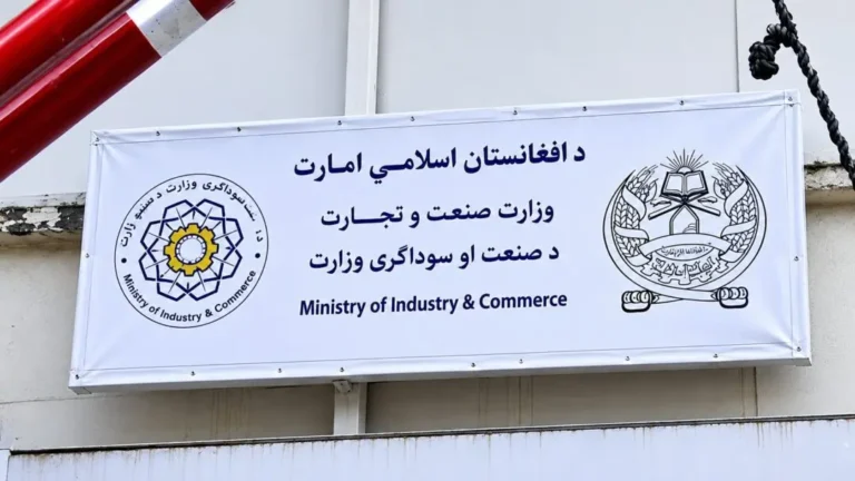 د طالبانو حکومت: د افغانستان د بهرنۍ سوداګرۍ ارزښت نږدې ۱۴ میلیارده ډالرو ته رسېدلی