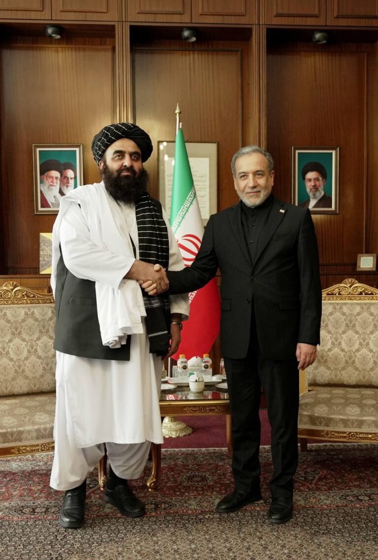 متقی و عراقچی در تهران درباره روابط دوجانبه و تحولات منطقه گفت‌وگو کردند