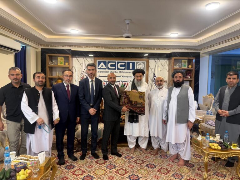 رئیس اتاق تجارت و سرمایه‌گذاری حکومت طالبان در قندهار با هیئت ترکی دیدار کرد